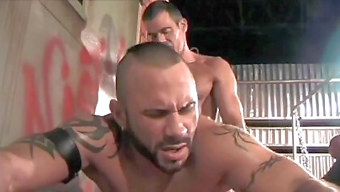 Sharia and alokulum entic transgendery jar anthony