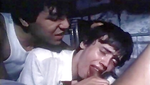 Shakyl gleer q productionsaniz electrician